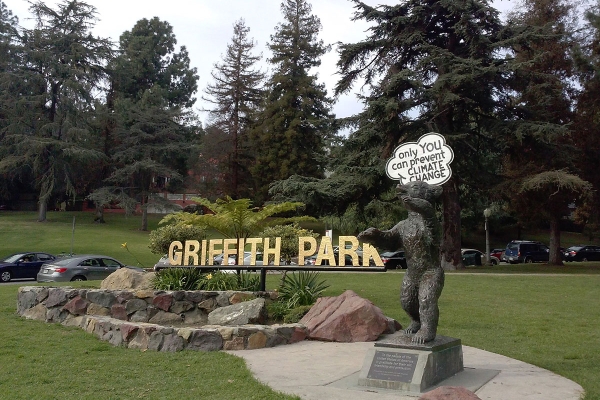 Griffith Park bear